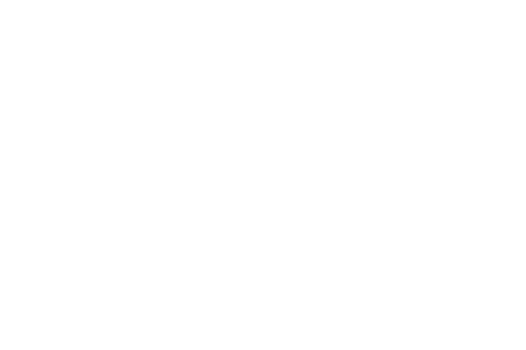 nanox