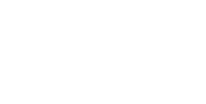 אלביט